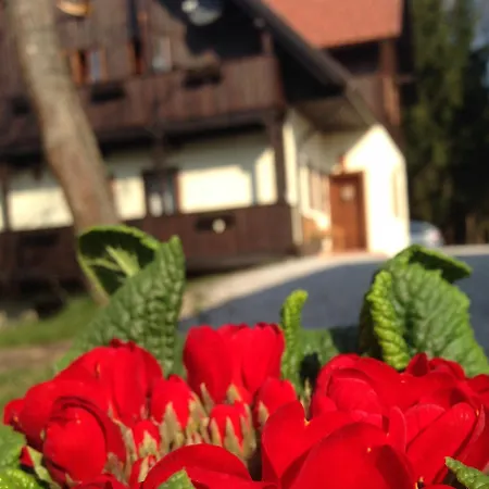 ゲストハウス Pomona Relaxing Nature ロガシュカ・スラティナ