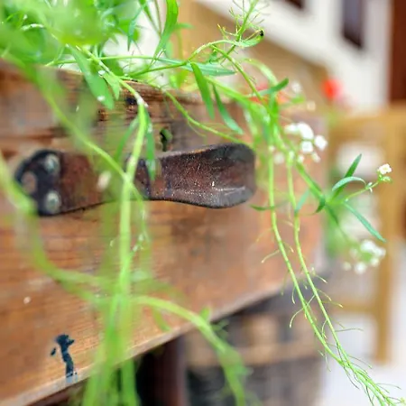 Pomona Relaxing Nature