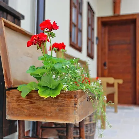 Pomona Relaxing Nature