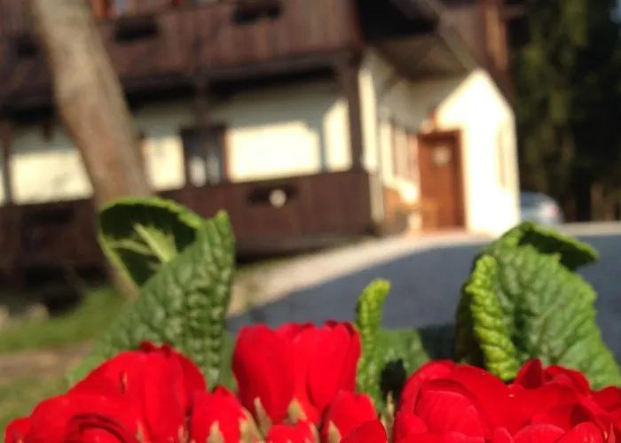 Πανσιόν Pomona Relaxing Nature Rogaška Slatina