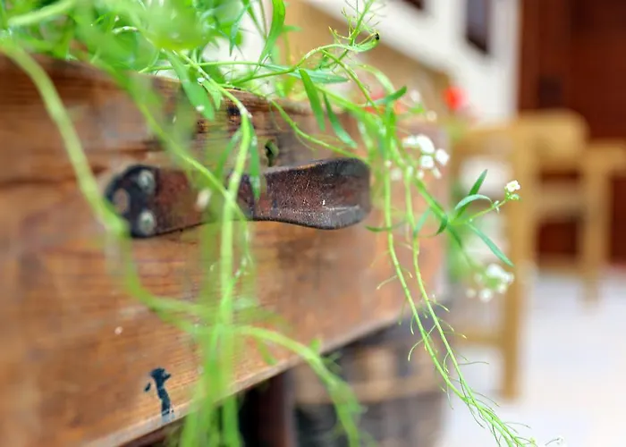 Pomona Relaxing Nature