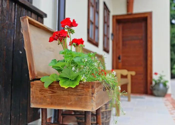 Pomona Relaxing Nature