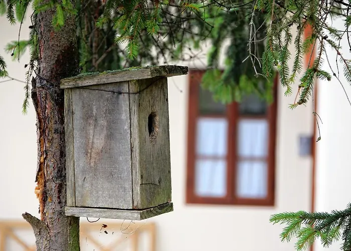 Πανσιόν Pomona Relaxing Nature 4*